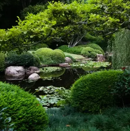 aménagement extérieur Chantonnay-3