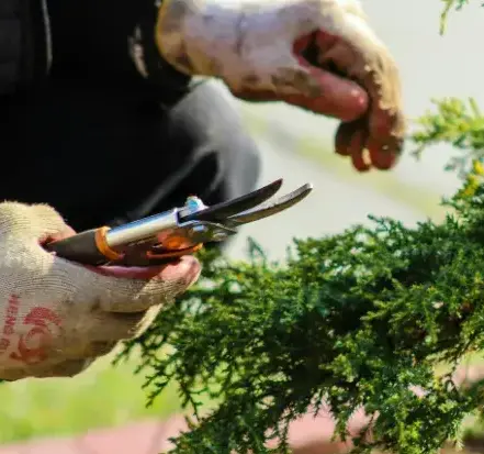 aménagement extérieur Chantonnay-4