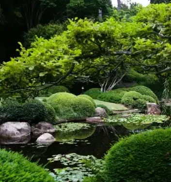 aménagement extérieur Fontenay-le-Comte-2