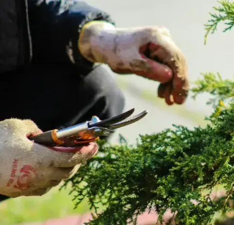 aménagement extérieur La Chapelle-Thémer-1