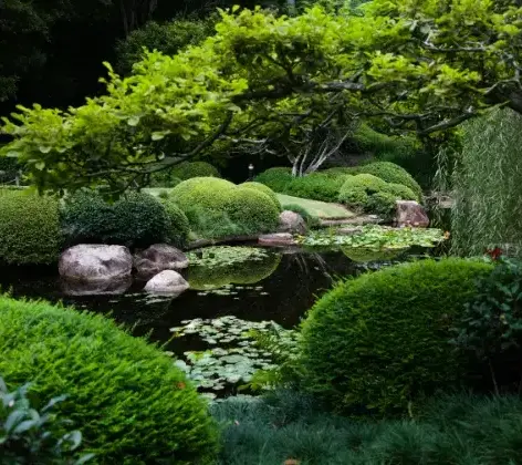 aménagement extérieur La Chapelle-Thémer-3