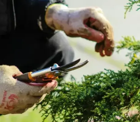 aménagement extérieur La Châtaigneraie-4