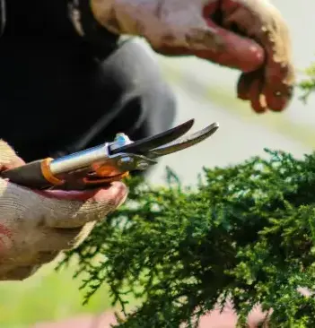 aménagement extérieur Luçon-2