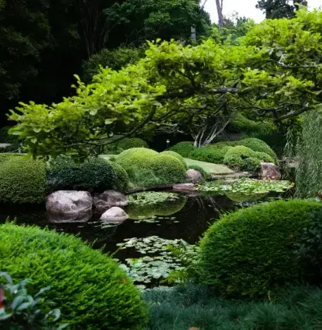 aménagement extérieur Luçon-3