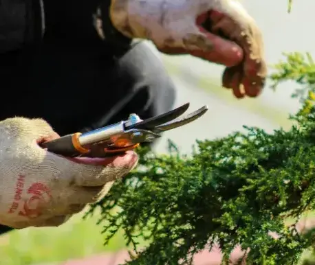 aménagement extérieur Sainte-Hermine-2