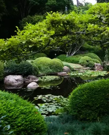 élagage Chantonnay-3