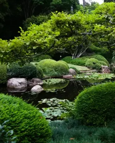 élagage Fontenay-le-Comte-1