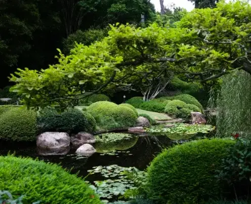 entretien espace vert Chantonnay-3