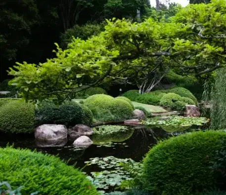 entretien espace vert Fontenay-le-Comte-1