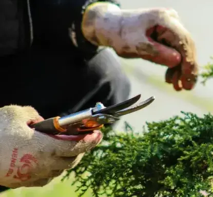 entretien espace vert La Chapelle-Thémer-1