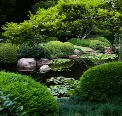 entretien espace vert La Châtaigneraie-1