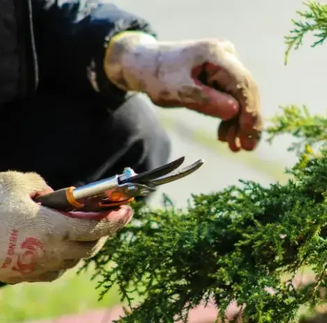 entretien espace vert Luçon-3