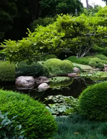 entretien espace vert Luçon-5