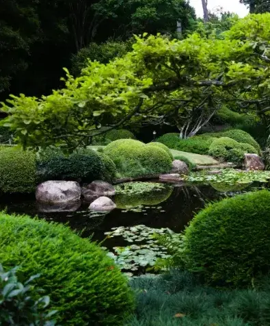 entretien espace vert Sainte-Hermine-1