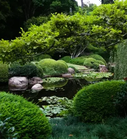 jardinier Chantonnay-2