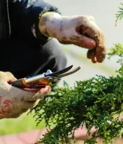 jardinier Fontenay-le-Comte-2