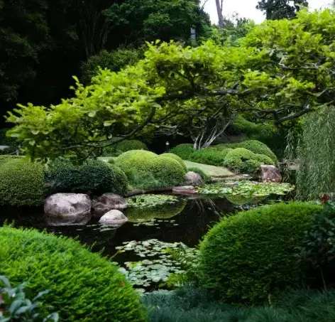 jardinier Fontenay-le-Comte-4