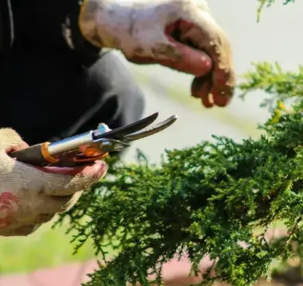 jardinier La Chapelle-Thémer-2