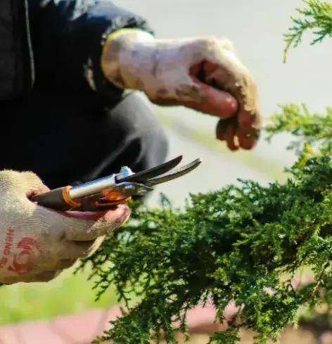 jardinier La Châtaigneraie-1