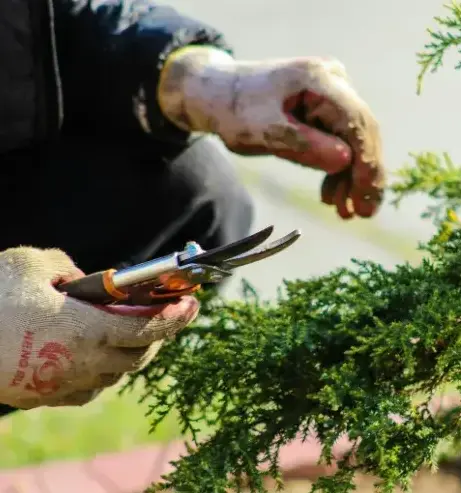 jardinier Sainte-Hermine-2