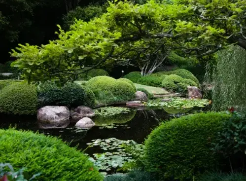 paysagiste Chantonnay-5