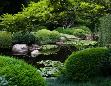 paysagiste jardin japonais Chantonnay-2