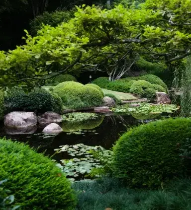 paysagiste jardin japonais Fontenay-le-Comte-2