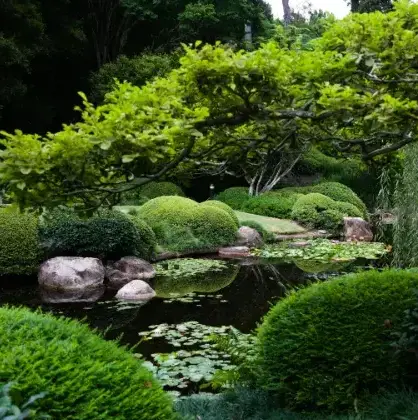 paysagiste jardin japonais La Chapelle-Thémer-2