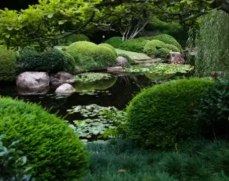 paysagiste jardin japonais La Châtaigneraie-3