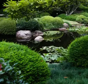 paysagiste jardin japonais Luçon-3