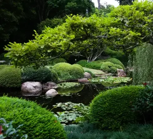 paysagiste jardin japonais Sainte-Hermine-5